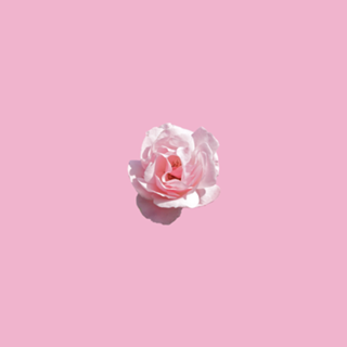 Baby Pink
