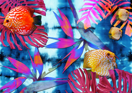 Oceanna Collage