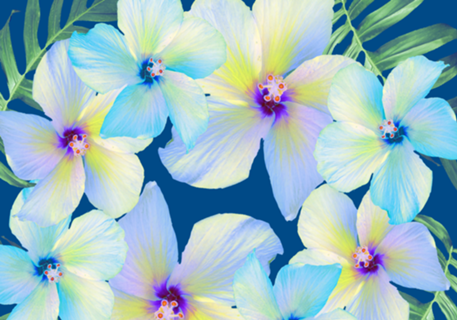 Aloha Hibiscus Teal