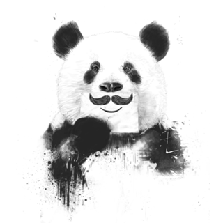 Funny panda