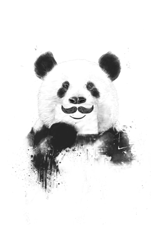 Funny panda