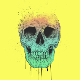 Pop art skull