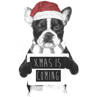 Xmas is coming