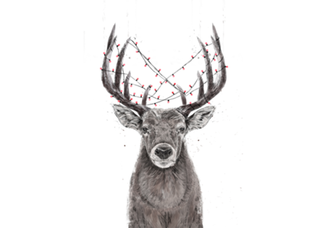 Xmas deer
