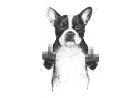 Censored dog
