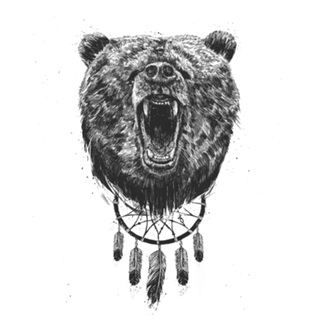 Don't wake the bear