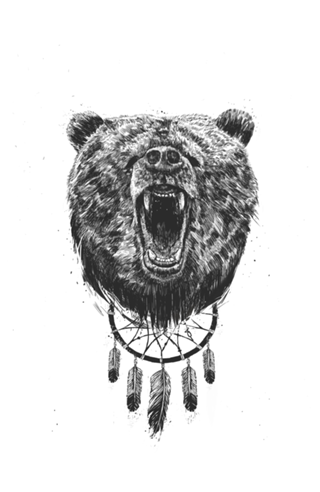 Don't wake the bear