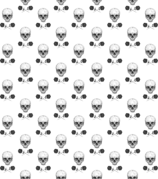 Skull N' Roses
