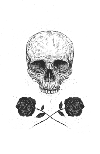 Skull N' Roses