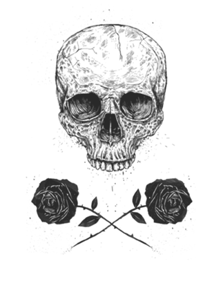 Skull N' Roses