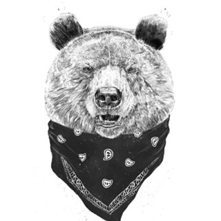 Wild bear