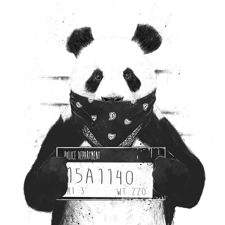 Bad panda