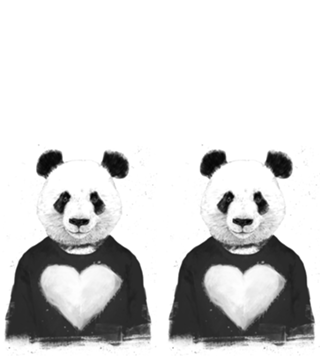 Lovely panda