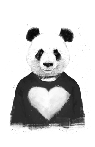 Lovely panda