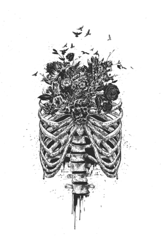 New life (b&w)