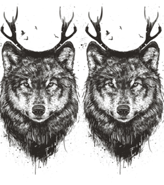 Deer wolf (b&w)