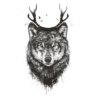 Deer wolf (b&w)