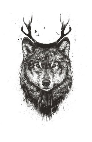 Deer wolf (b&w)
