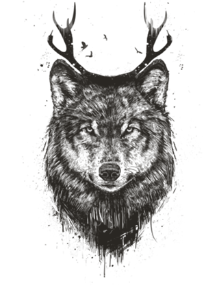 Deer wolf (b&w)