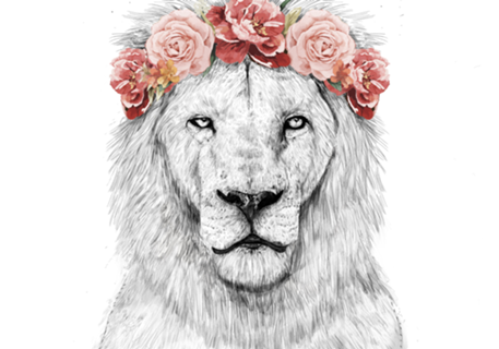 Festival lion