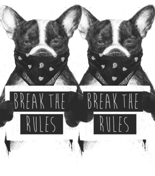 Rebel dog