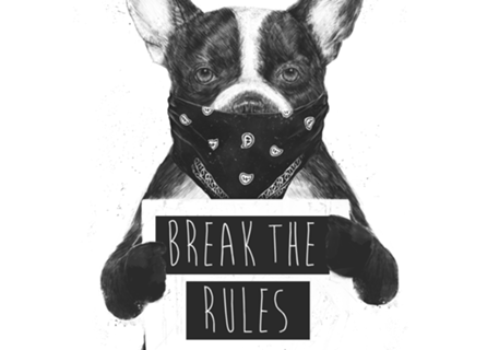 Rebel dog