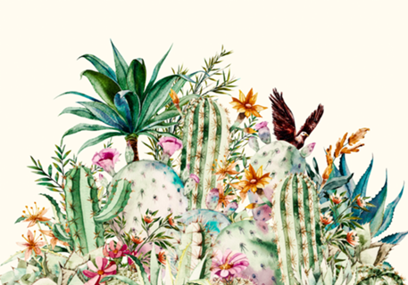 Cacti nature boho