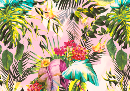 Dream tropical paradise