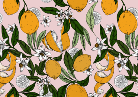 Succulent sweets oranges