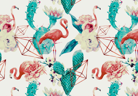Flamingos in the cacti