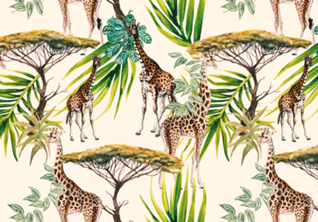 Landscape of Africa