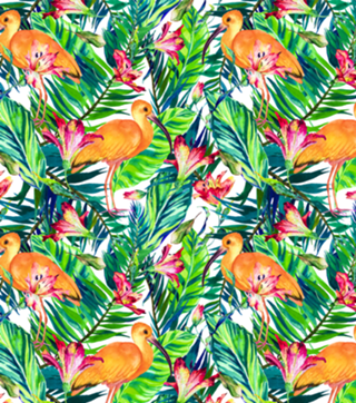 Exotic bird in the tropical jungle
