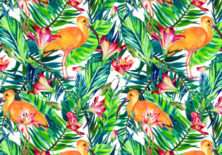 Exotic bird in the tropical jungle