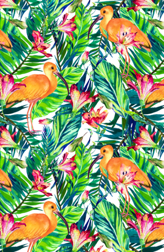 Exotic bird in the tropical jungle