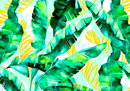Banana leaf