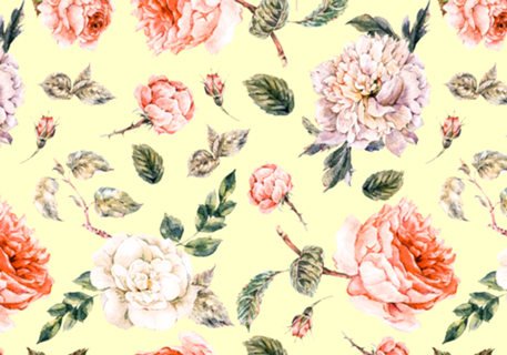 Blooming in spring