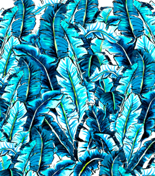 Watercolor banana palm leaf 