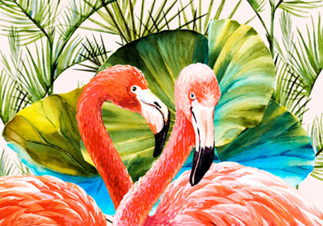 Flamingos