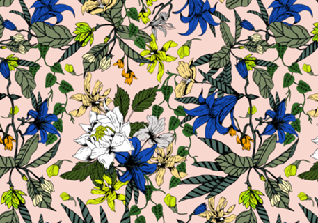 Blooming blossom