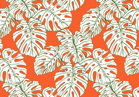Hand drawing monstera