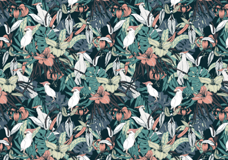 Drawing exotic birds in the nocturnal jungle