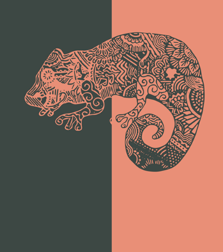 Por Trás das Cores