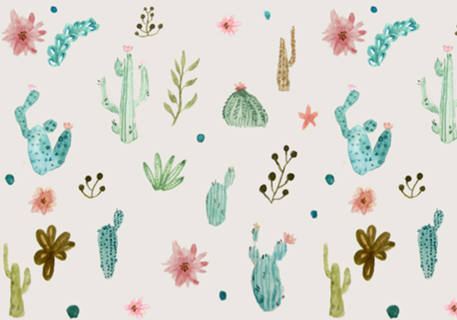 Cactos