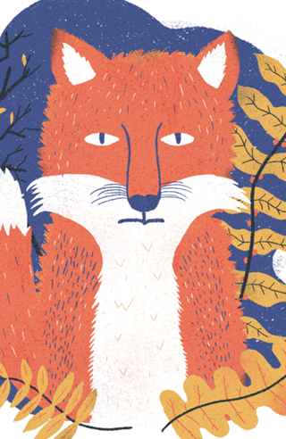 Fox