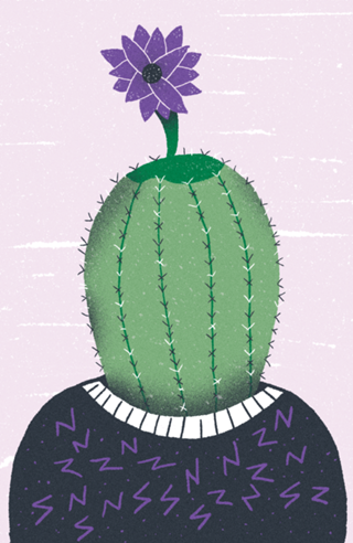 Cactos
