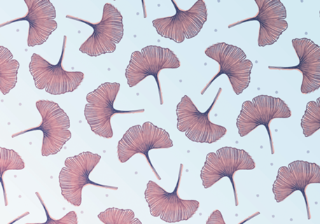 Ginkgos (Sky version)