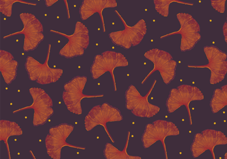 Ginkgo