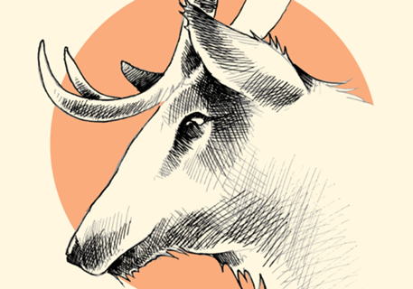 Oh Deer!