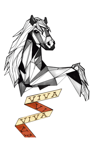 Cavalo - Série VIVA
