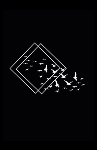 Triangles Fly